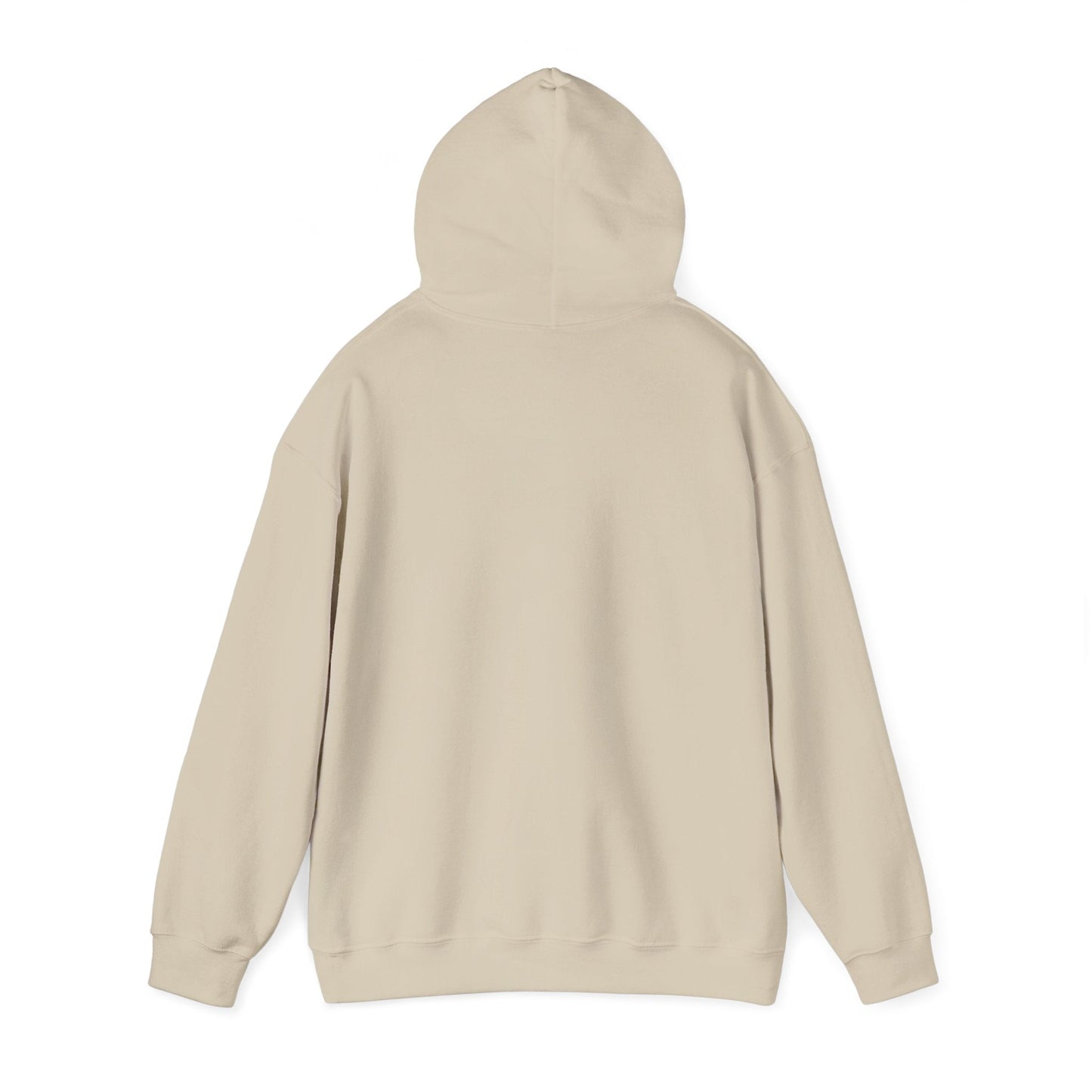 Created In His Image Hoodie — Inspirational Graphic Pullover